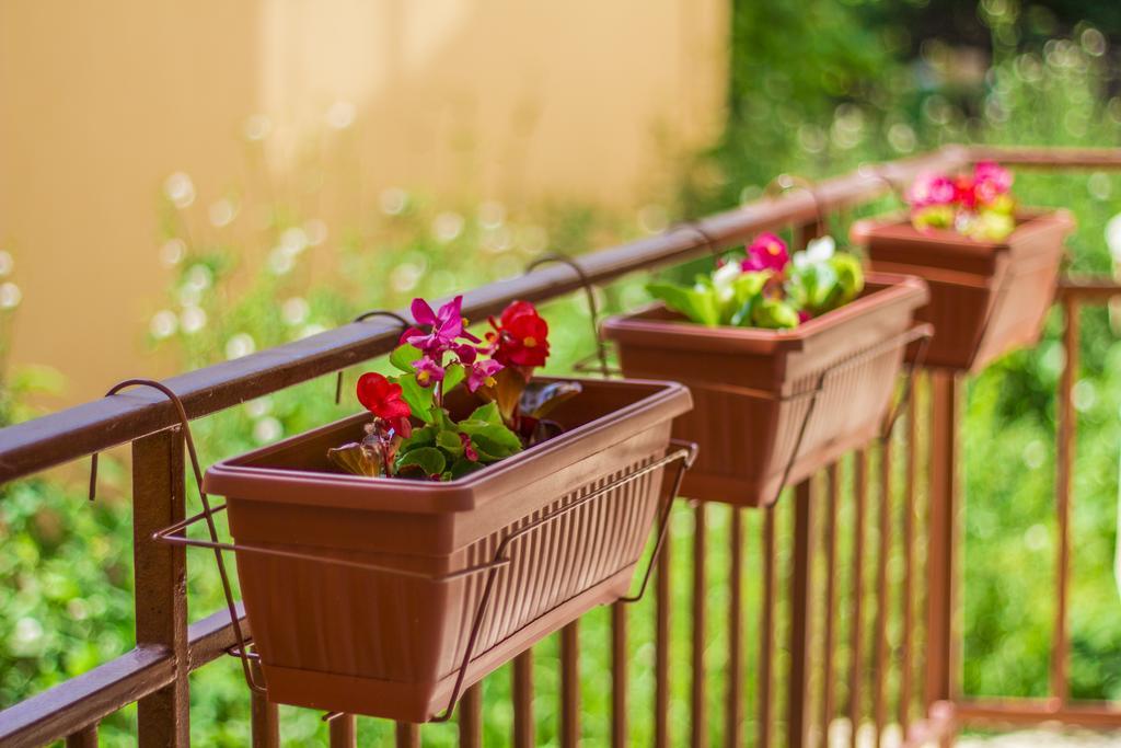 רוסה Central Point Apartments מראה חיצוני תמונה